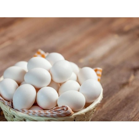 Telur Kampung Unggul