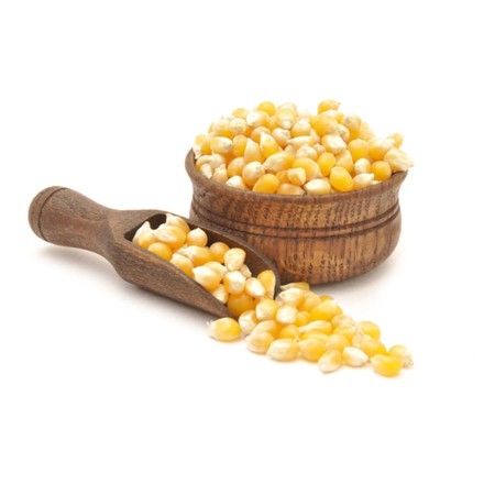 Jagung Kering Pipil Murah