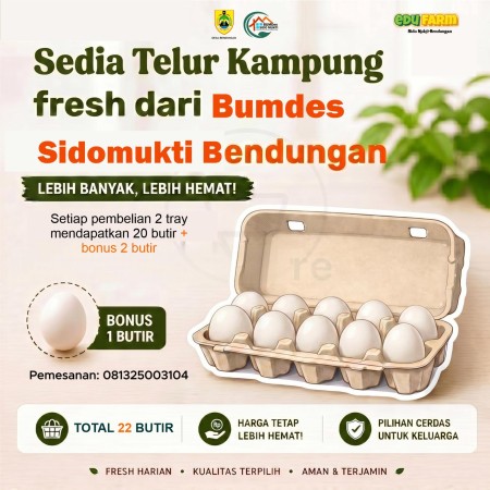 Telur Ayam