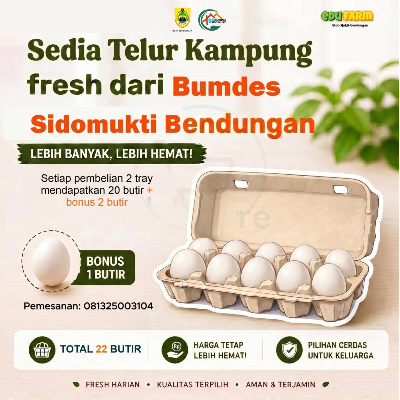 Telur Ayam